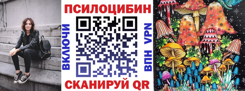 продажа наркотиков  Белая Холуница  Псилоцибиновые грибы Psilocybine cubensis 